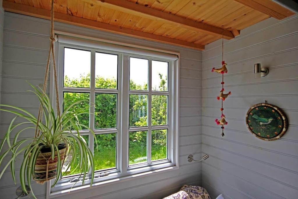 فيلا Tiny House On Isolated Farm By The Cornish Coast بود المظهر الخارجي الصورة